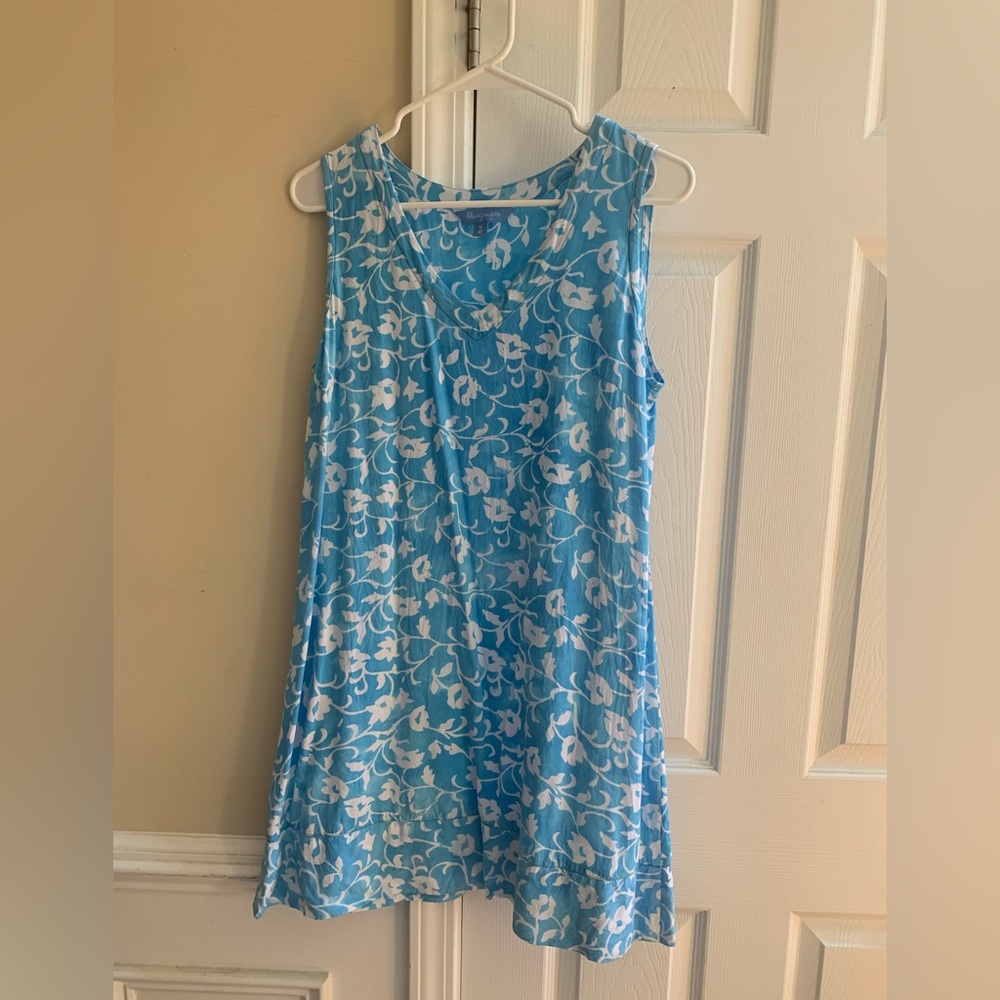 Blueginger Dress